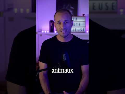 Les animaux brûlent sous nos yeux #shorts #nature #animauxsauvages #lameutecurieuse #incendie