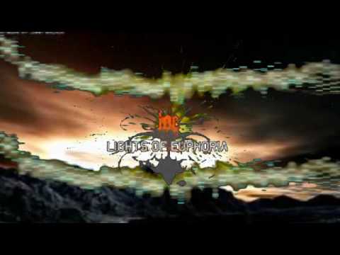 Lights Of Euphoria -True Life ( VNV Nation Remix )