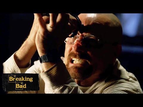 Walt Urges Jesse To Pull The Trigger | End Times | Breaking Bad