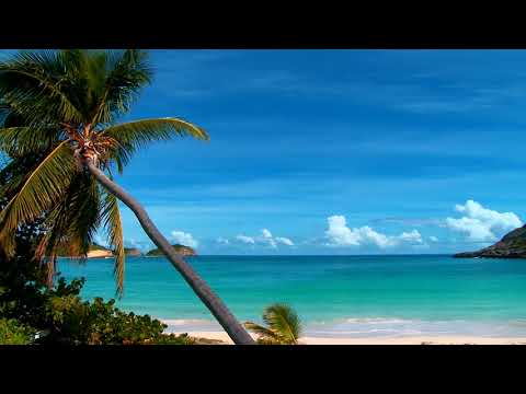 Peaceful Music, Relaxing music, Instrumental Music "Ocean Peace" by Tim Janis