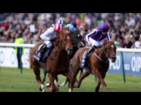 Aidan O'Brien's thoughts on the 2014 Investec Derby at Epsom Downs Racecourse