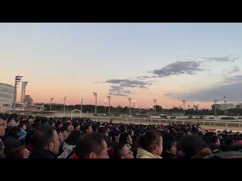 2018.12.29 東京大賞典《GⅠ》《オメガパフューム＆M.デムーロ》