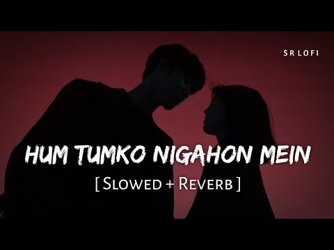 Hum Tumko Nigahon Mein (Slowed + Reverb) | Udit Narayan, Shreya Ghoshal | SR Lofi