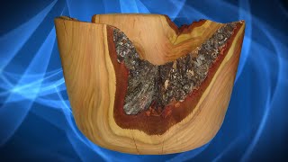Turning A Bowl From The Crotch Of A Plum Tree