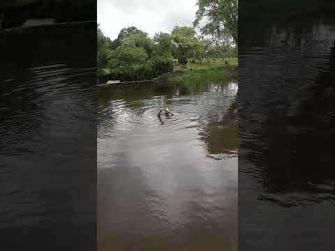 pedal Fazenda Amaralina