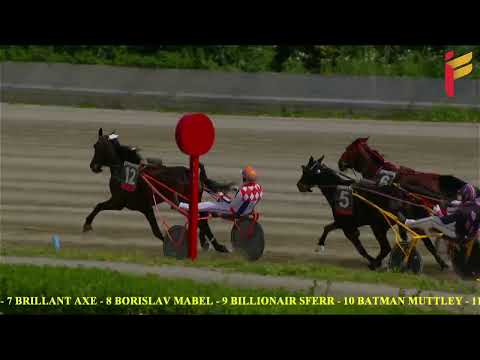 IV Corsa del 26 Aprile 2022 - 3 Anni - Metri 1600