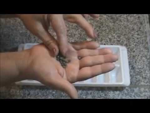 The Okra Tips Video  #9