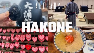 箱根 日帰り旅行 vlog ｜日帰り温泉｜アラサー社会人の休日