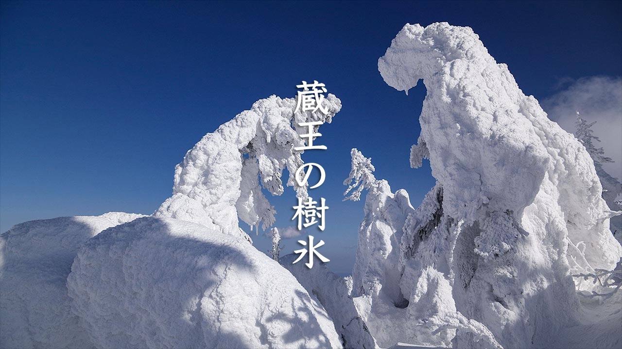 Zao Snow Monsters