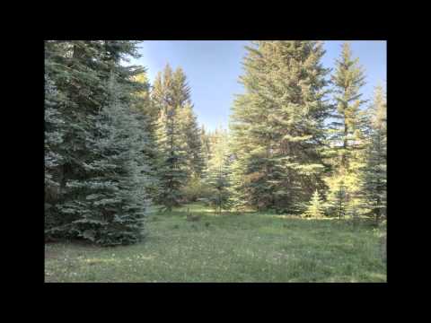 Durango Colorado - Vallecito Lake - Riverfront Property from Russ Smith