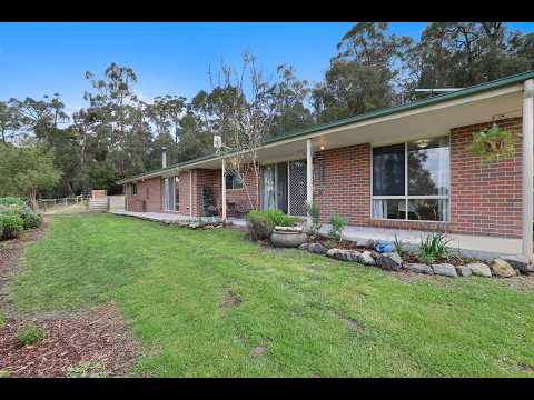 995 Darlimurla Road, Boolarra, VIC 3870, 3 phòng ngủ, 2 phòng tắm, Lifestyle Section