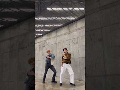 냥집사들 주목🐈