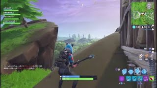 久しぶりのFortniteでビクロイだったぉ