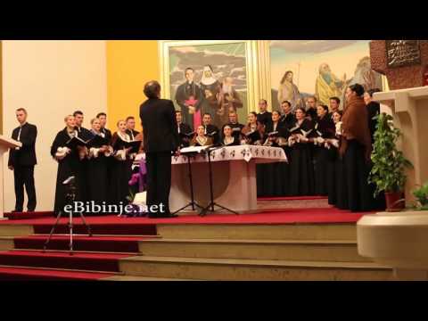 ansambl LADO u Bibinjama