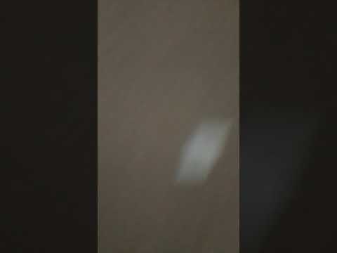 Os Backyardigans - O Tesouro do Pirata - Ep. 1