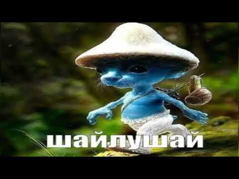 Шайлушай ту тун тын ту ту ту утуту