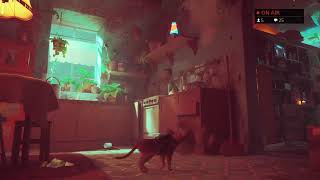 【Stray】究極のかくれんぼ。※初見配信※【ゲーム配信】