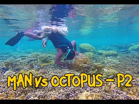 HUNTING TUBE, A BADASS MARSHALLESE OCTOPUS HUNTER || MAN vs OCTOPUS - EP1/P2