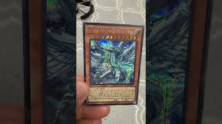 【遊戯王】蒼の深淵　ディープアイズホワイトドラゴン　【私のカードコレクション】 #遊戯王 #yugioh
