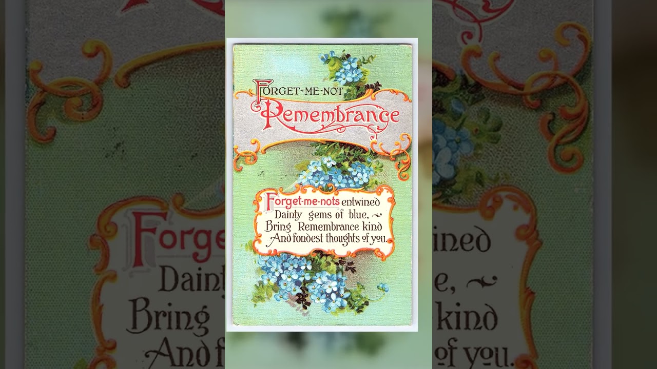 Forget-Me-Not Remembrance Postcard, Divided Back, Wyoming, 1912 Video