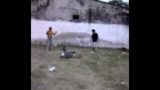 la chilena de piñon