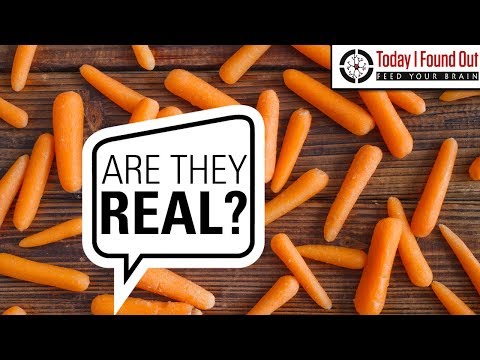 download lagu mp3 mp4 Where To Buy Baby Carrots With Stems, download lagu Where To Buy Baby Carrots With Stems gratis, unduh video klip Where To Buy Baby Carrots With Stems