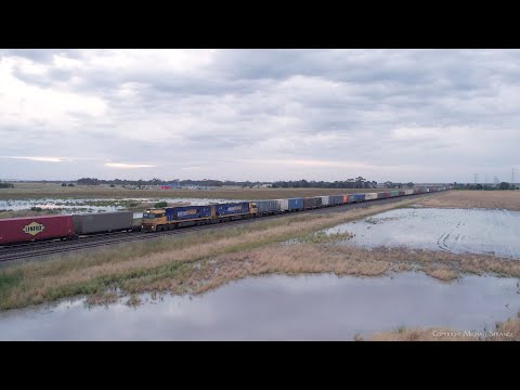 1PM5 & 4SP4 Pacific National Container Freight Trains Cross (21/12/2022) - PoathTV Railways