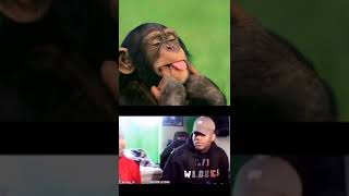 Download lagu Story WA 30 detik#ngakak2021 mp3