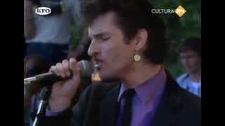 Mink DeVille - Pinkpop 1982