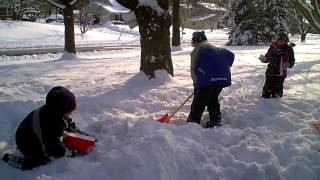 The Bear Went Over the Mountain