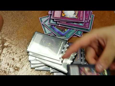 Nelson Ching 1st Place Danbury November 19, 2016 ABC Deck Profile