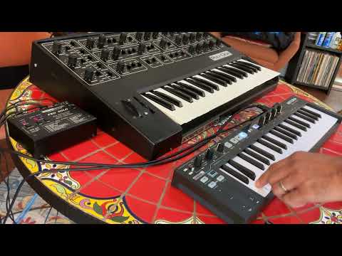 Sequential Pro-One With Kenton Pro Solo Midi to CV Box 1984 image 12