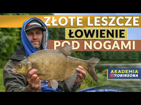 Łowienie pod nogami - sposób na duże, złote leszcze! #AKADEMIAROBINSONA 83