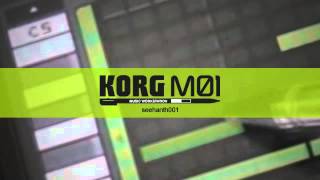 KORG M01: house90s (Seeha Extended Mix) - sanodg