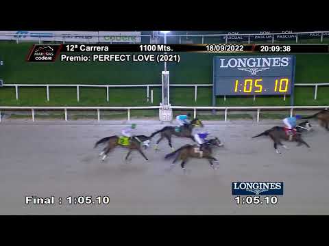 CARRERAS HIPODROMO MAROÑAS - 220918 c12 1° LA RESILIENTE