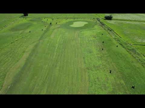 Golf Druento - Buca 11