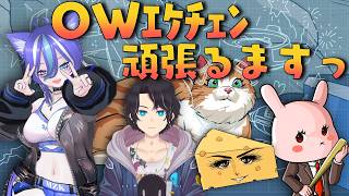 【OW2】おばっちｴｹﾁｪﾝがんばるますっ　今日は初めましてさんもいるよっ w/天月空・チーズ丸・まぬぽにすた【あおねこらいぶ】