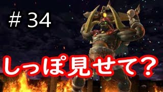 【スマブラＳＰ】背後をとる戦い！ガノン戦！【灯火の星】＃３４