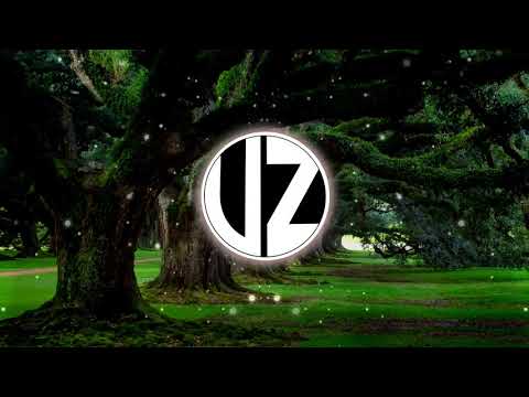 Vyznry - Separate Worlds