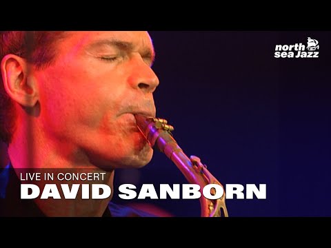 David Sanborn - Full Concert [HD] | Live at North Sea Jazz Festival 1999