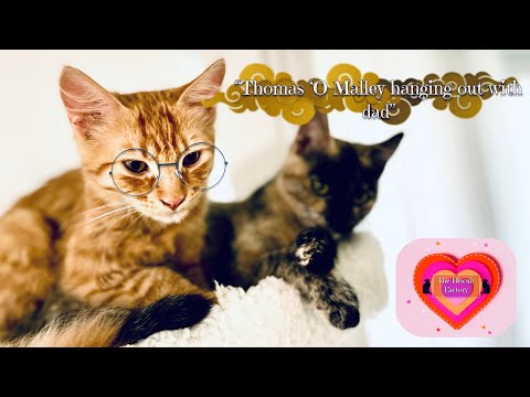 Thomas ‘O Malley hangs out with dad! | The Biscuit Factory