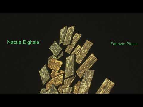 Natale Digitale 2020: Albero di Fabrizio Plessi  Video di Daniele Frison, Musica di M.Gabriella  Zen