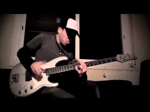 RHCP - Can't Stop [Bass Cover by Miki Santamaria]