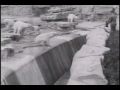 Detroit Zoo Grand Opening