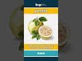 pomelo - a big, round citrus fruit... video thumbnail