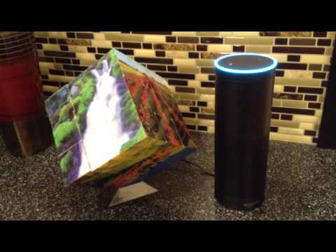 WORD OF THE DAY SEMPITERNAL 1/30/2017