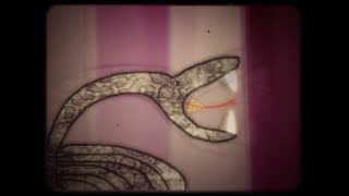 PIZZA DELIVERY | Animated Short Film by Nicole Russin-McFarland