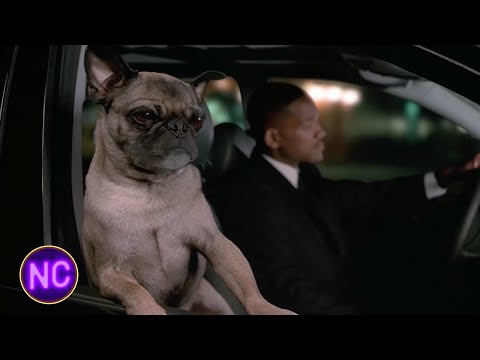 "She wanted to get back to the morgue, I helped her!" | Men In Black II (2002) | Now Comedy