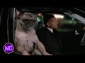 She Wanted To Get Back To The Morgue I Helped Her Men In Black II 2002 Now Comedy