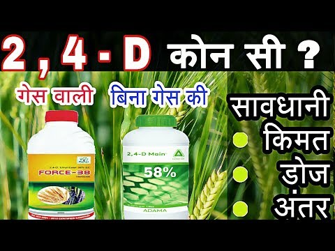 2 4 D Amine salt 58% | Ethyl ester 38% | टु फॉर डि गेस वाली ओर बिना गेस वाली